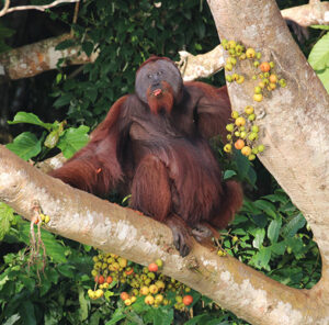 National Geographic Expeditions